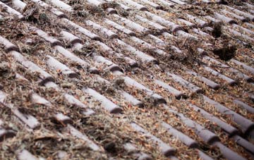 Teavarran roof cleaning companies