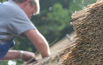 professional Teavarran thatchers