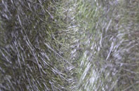 Teavarran fibreglass roof work